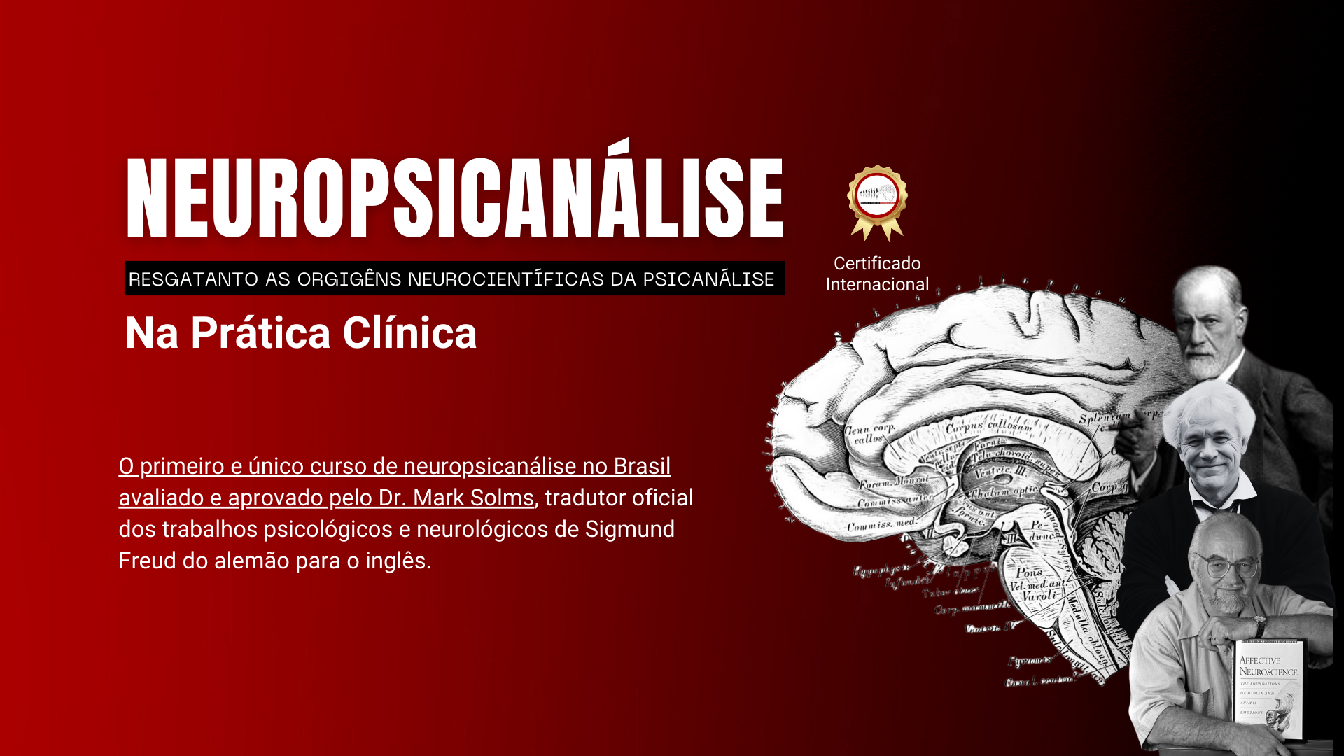 Cópia de Curso Neurociência Afetiva Teoria do Apego (4)
