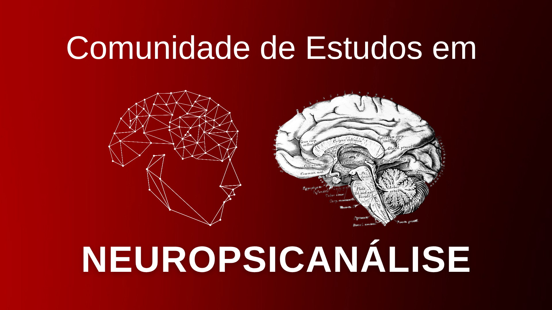 _Neurociência Afetiva (1)