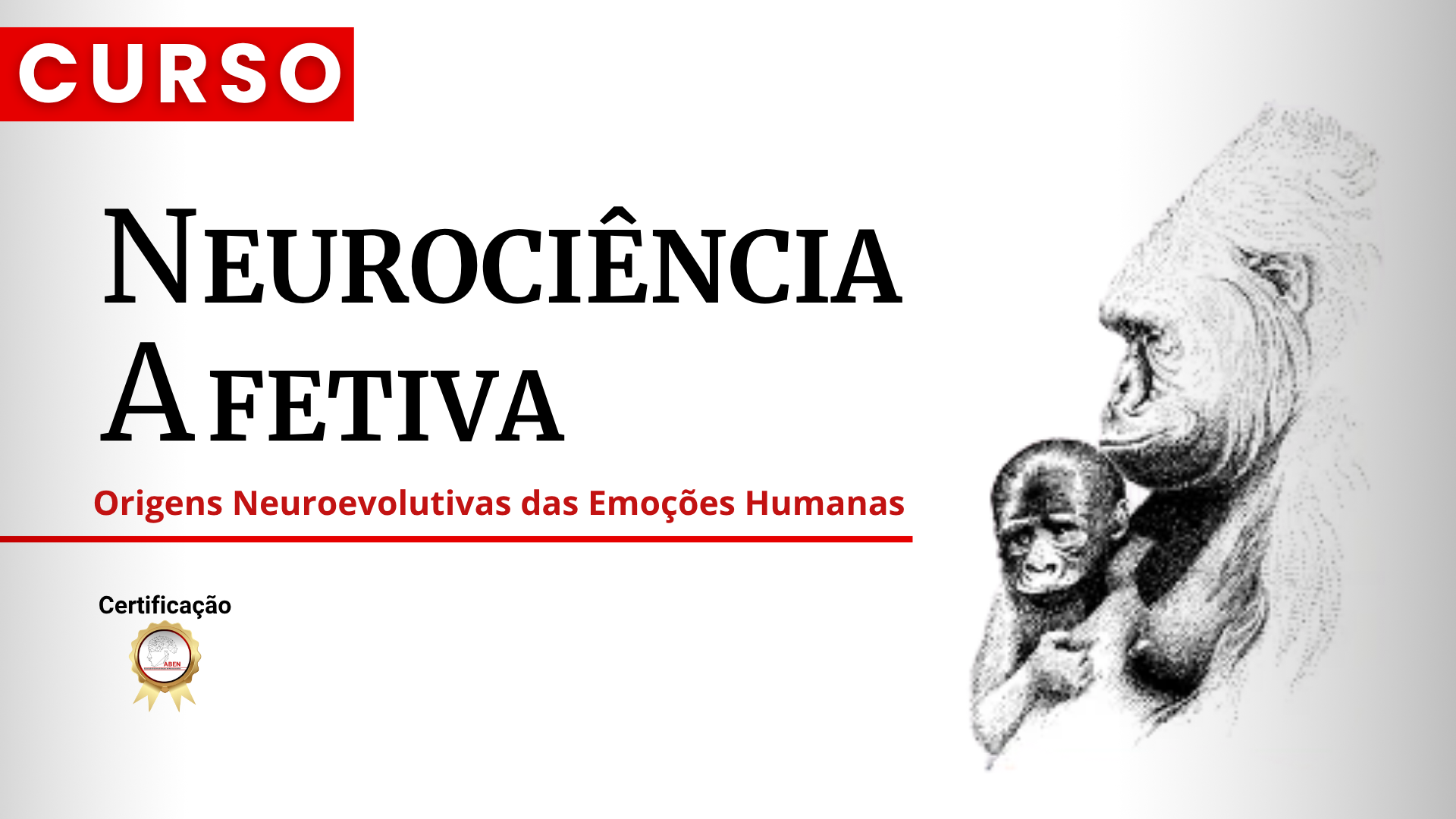 Neurociência Afetiva (25)