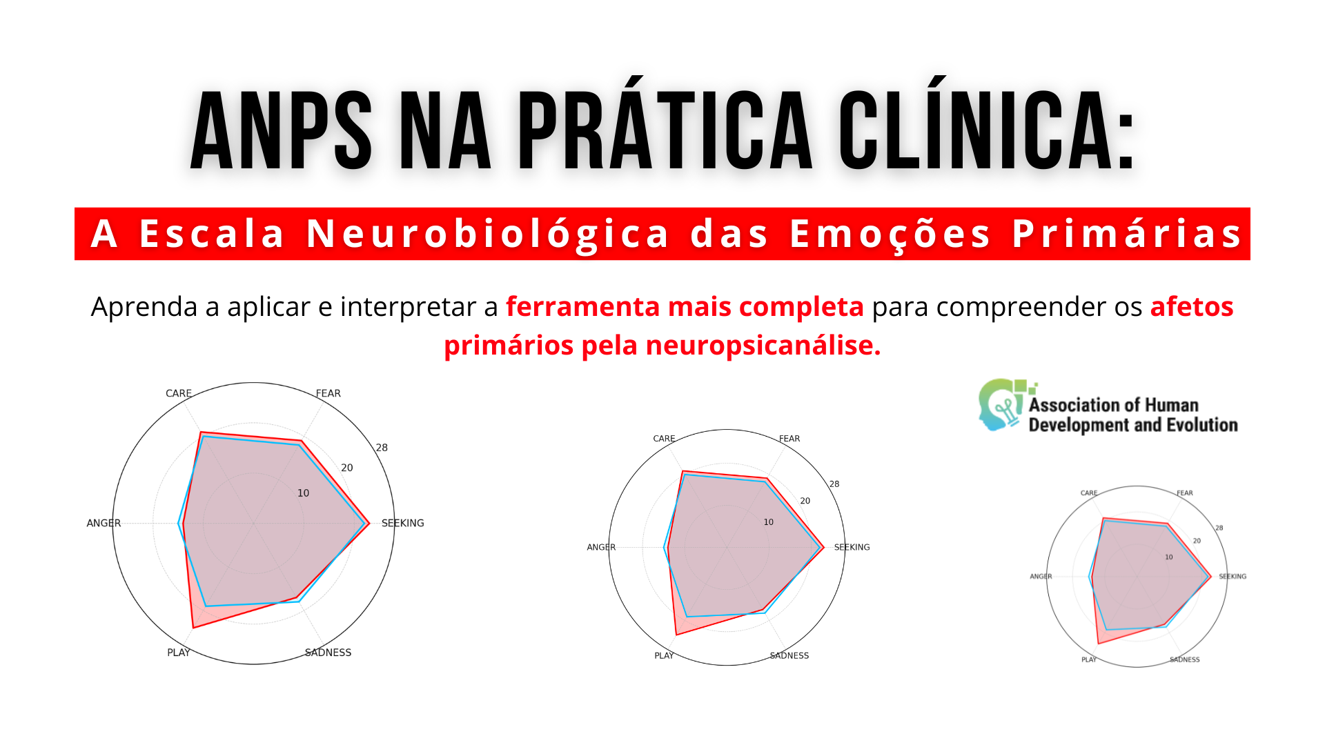 Cópia de Slides Como o Cérebro Processa Relacionamentos